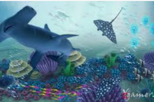 HB火博·体育官方正版手游最新版